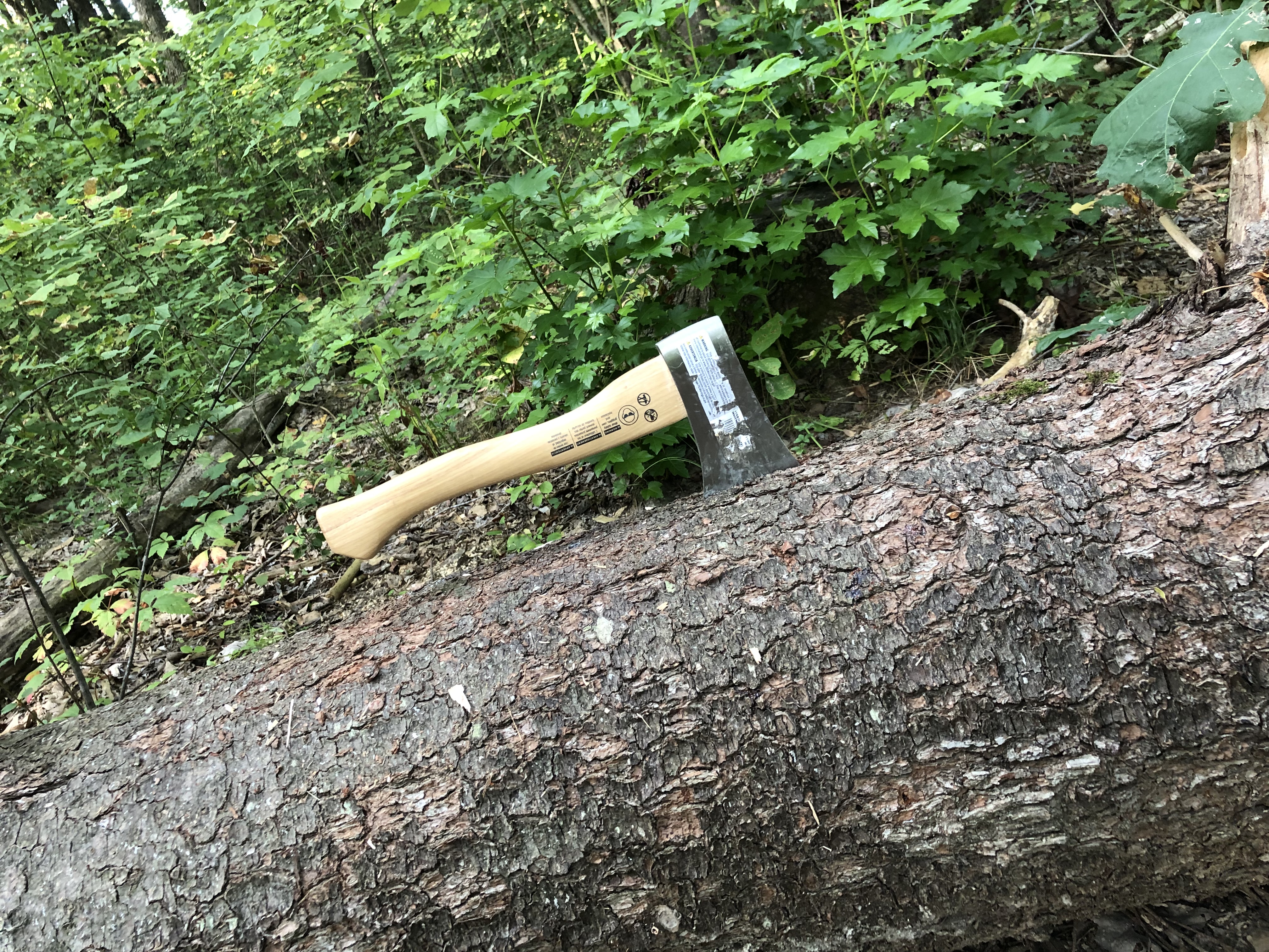 How to handle a hatchet in a tree